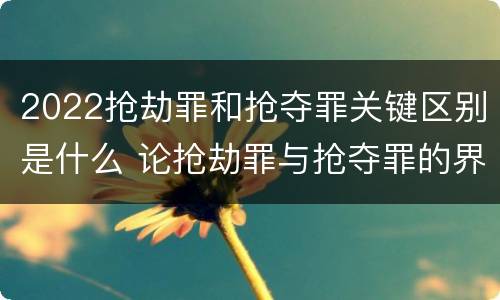 2022抢劫罪和抢夺罪关键区别是什么 论抢劫罪与抢夺罪的界限