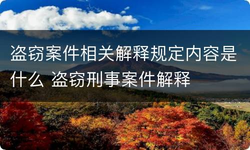 盗窃案件相关解释规定内容是什么 盗窃刑事案件解释