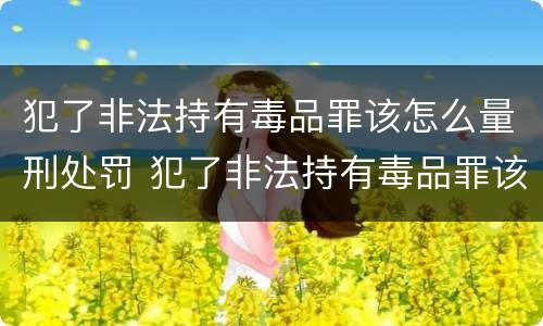 犯了非法持有毒品罪该怎么量刑处罚 犯了非法持有毒品罪该怎么量刑处罚多少钱