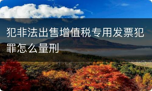 犯非法出售增值税专用发票犯罪怎么量刑