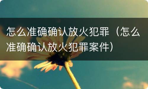 怎么准确确认放火犯罪（怎么准确确认放火犯罪案件）