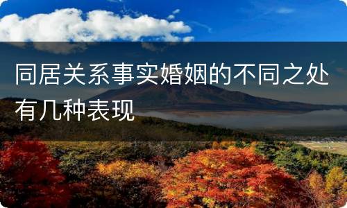 同居关系事实婚姻的不同之处有几种表现