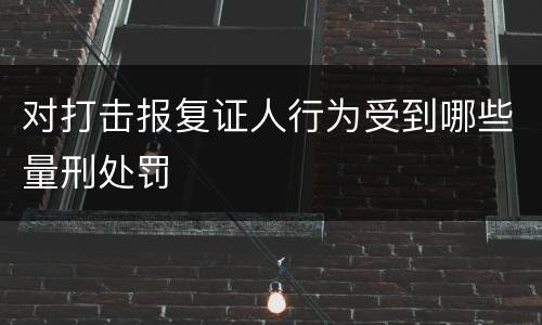 对打击报复证人行为受到哪些量刑处罚