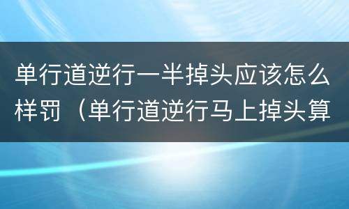 单行道逆行一半掉头应该怎么样罚（单行道逆行马上掉头算违章吗）
