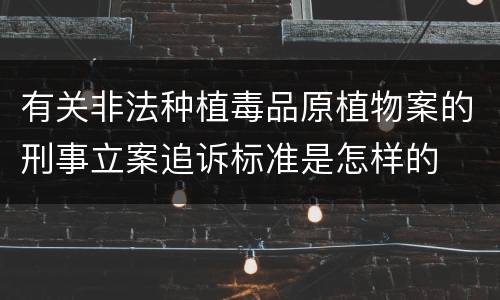 有关非法种植毒品原植物案的刑事立案追诉标准是怎样的