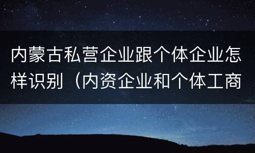 内蒙古私营企业跟个体企业怎样识别（内资企业和个体工商户）