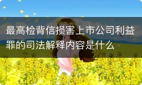 最高检背信损害上市公司利益罪的司法解释内容是什么