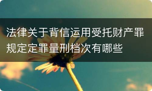 法律关于背信运用受托财产罪规定定罪量刑档次有哪些