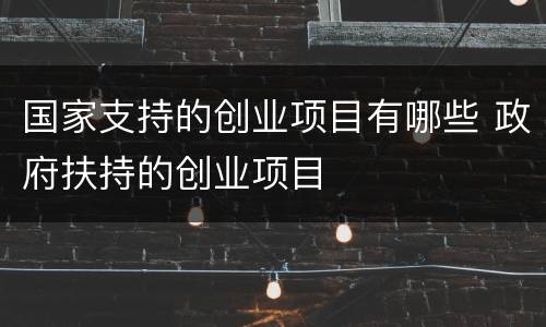 国家支持的创业项目有哪些 政府扶持的创业项目