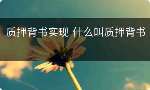 质押背书实现 什么叫质押背书