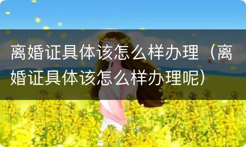 离婚证具体该怎么样办理（离婚证具体该怎么样办理呢）