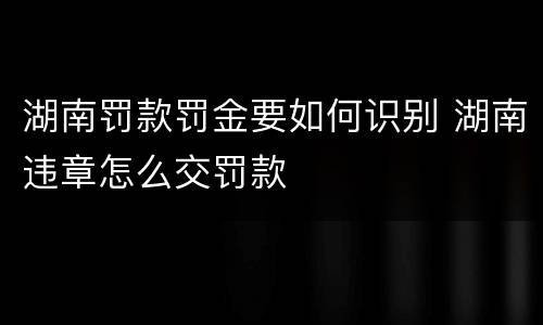 湖南罚款罚金要如何识别 湖南违章怎么交罚款