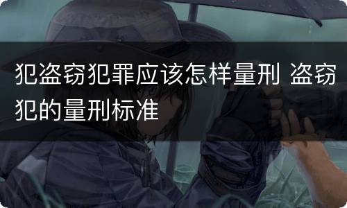 犯盗窃犯罪应该怎样量刑 盗窃犯的量刑标准