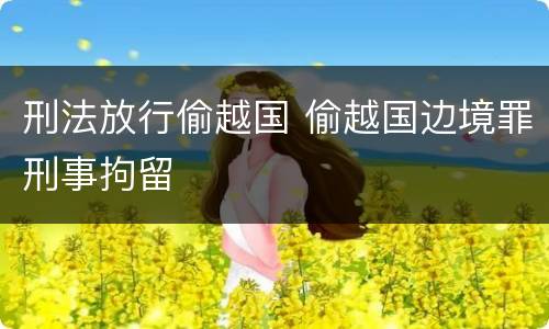 刑法放行偷越国 偷越国边境罪刑事拘留