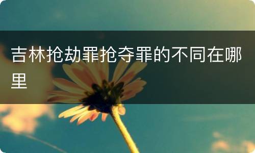 吉林抢劫罪抢夺罪的不同在哪里