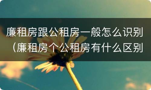 廉租房跟公租房一般怎么识别（廉租房个公租房有什么区别）