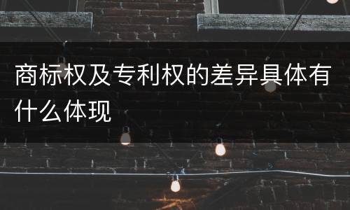 商标权及专利权的差异具体有什么体现