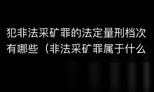犯非法采矿罪的法定量刑档次有哪些（非法采矿罪属于什么大类）