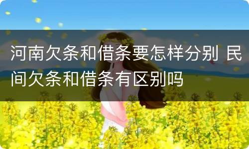 河南欠条和借条要怎样分别 民间欠条和借条有区别吗