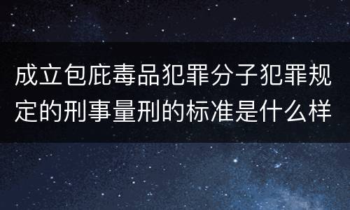成立包庇毒品犯罪分子犯罪规定的刑事量刑的标准是什么样的