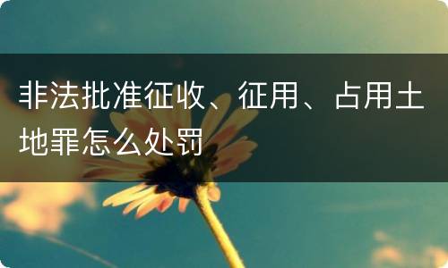 非法批准征收、征用、占用土地罪怎么处罚