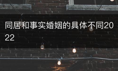 同居和事实婚姻的具体不同2022