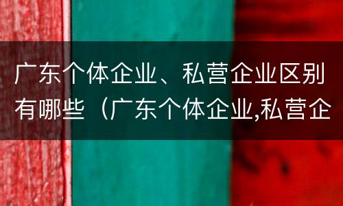 广东个体企业、私营企业区别有哪些(广东个体企业,私营企业区别有哪些方面)
