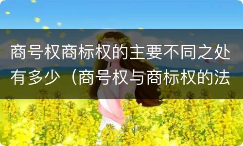 商号权商标权的主要不同之处有多少（商号权与商标权的法律冲突与解决）