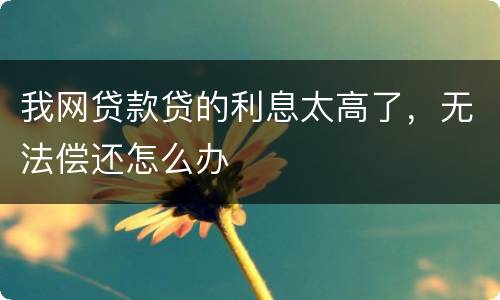 我网贷款贷的利息太高了，无法偿还怎么办