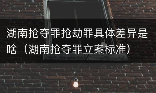 湖南抢夺罪抢劫罪具体差异是啥（湖南抢夺罪立案标准）