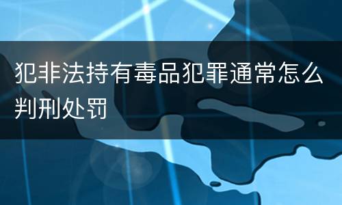 犯非法持有毒品犯罪通常怎么判刑处罚