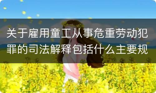 关于雇用童工从事危重劳动犯罪的司法解释包括什么主要规定