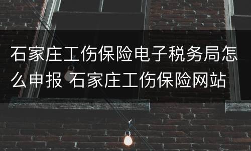 石家庄工伤保险电子税务局怎么申报 石家庄工伤保险网站