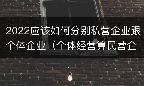 2022应该如何分别私营企业跟个体企业（个体经营算民营企业吗）