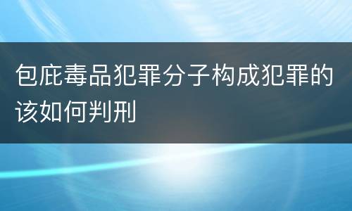 包庇毒品犯罪分子构成犯罪的该如何判刑