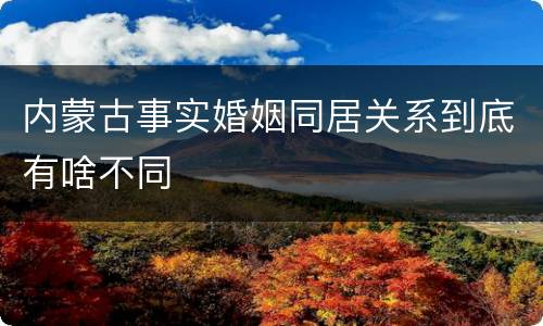 内蒙古事实婚姻同居关系到底有啥不同