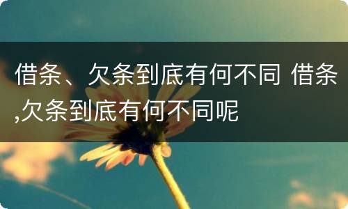 借条、欠条到底有何不同 借条,欠条到底有何不同呢