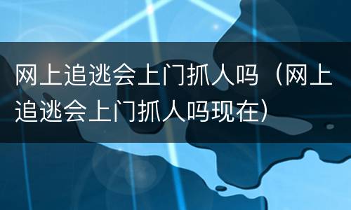 网上追逃会上门抓人吗（网上追逃会上门抓人吗现在）