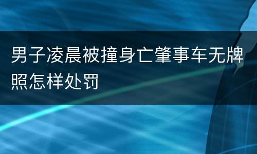 男子凌晨被撞身亡肇事车无牌照怎样处罚