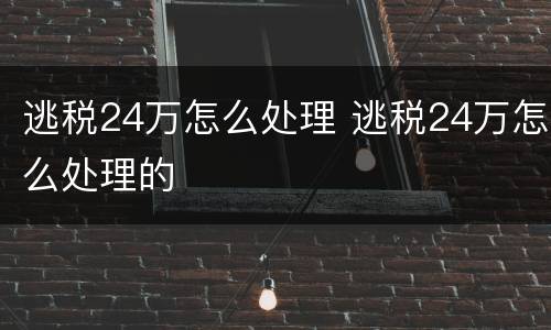 逃税24万怎么处理 逃税24万怎么处理的