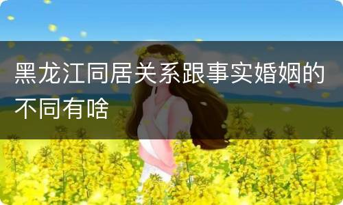 黑龙江同居关系跟事实婚姻的不同有啥