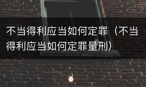 不当得利应当如何定罪（不当得利应当如何定罪量刑）