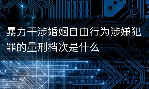 暴力干涉婚姻自由行为涉嫌犯罪的量刑档次是什么