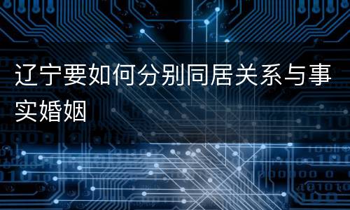 辽宁要如何分别同居关系与事实婚姻