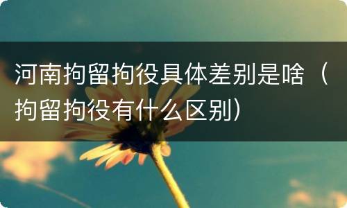 河南拘留拘役具体差别是啥（拘留拘役有什么区别）