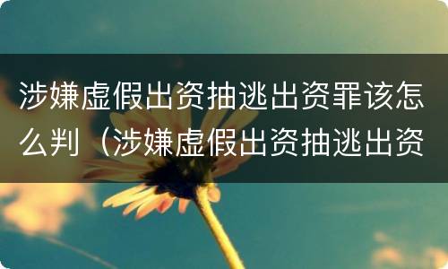 涉嫌虚假出资抽逃出资罪该怎么判（涉嫌虚假出资抽逃出资罪该怎么判刑）