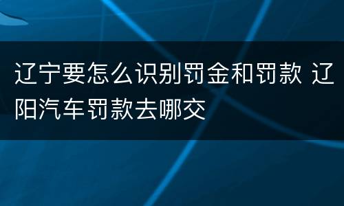 辽宁要怎么识别罚金和罚款 辽阳汽车罚款去哪交
