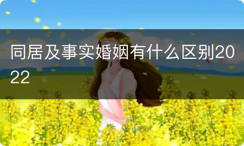同居及事实婚姻有什么区别2022