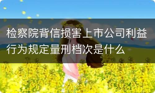 检察院背信损害上市公司利益行为规定量刑档次是什么