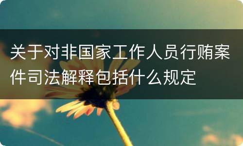 关于对非国家工作人员行贿案件司法解释包括什么规定
